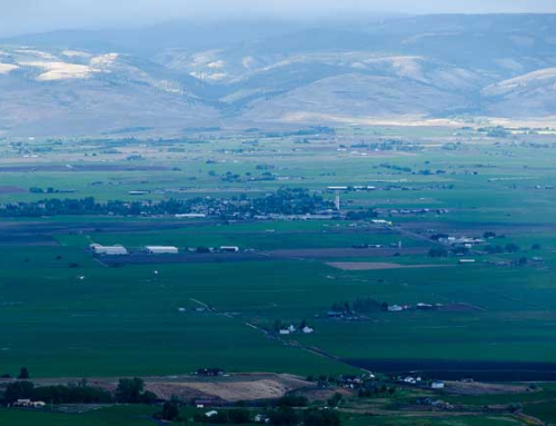 Environmental Crimes Bill